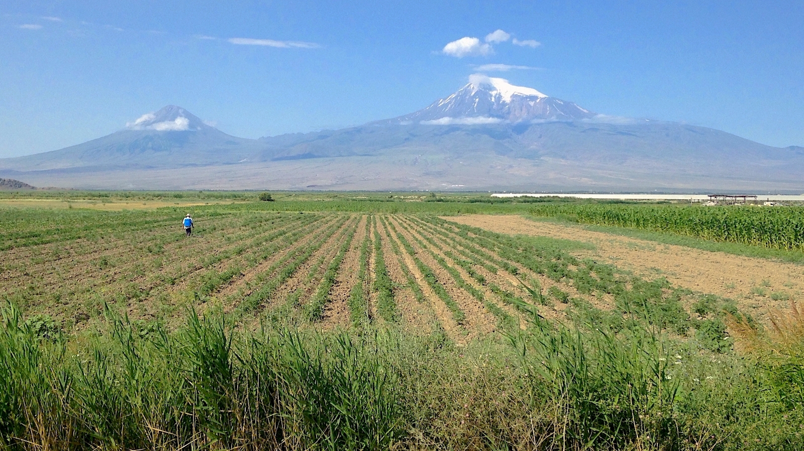 As Armenian Fish Farming Expands, a Pristine Aquifer Is Drying Up