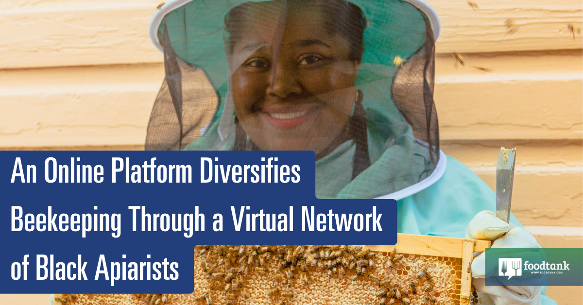 An On-line Platform Diversifies Beekeeping through a Digital Group of Black Apiarists – Meals Tank