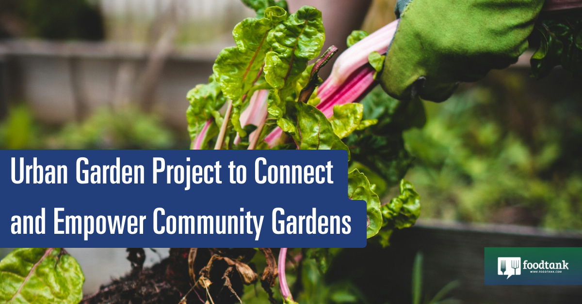 Metropolis Yard Enterprise to Be a part of and Empower Neighborhood Gardens – Meals Tank