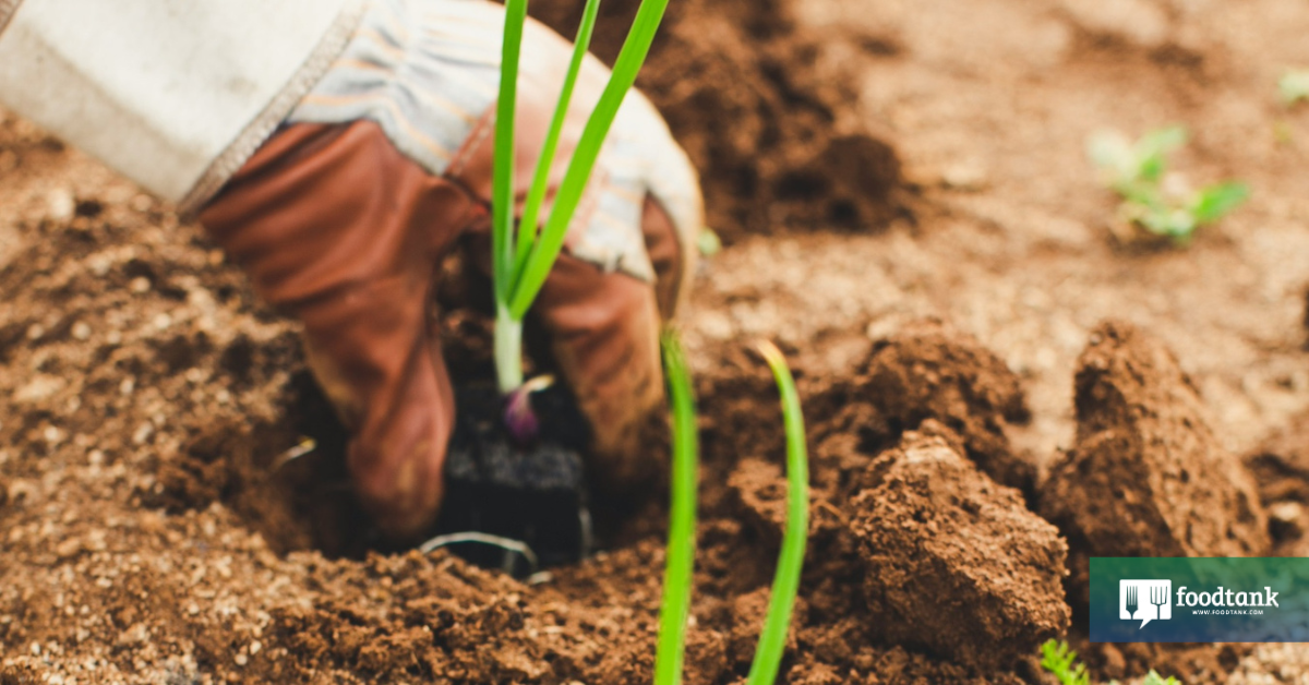 Progress in The Meals System Means Empowering Eaters—In the mean time and for Generations to Come – Meals Tank