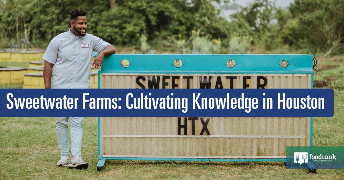 Cultivating Info in Houston – Meals Tank