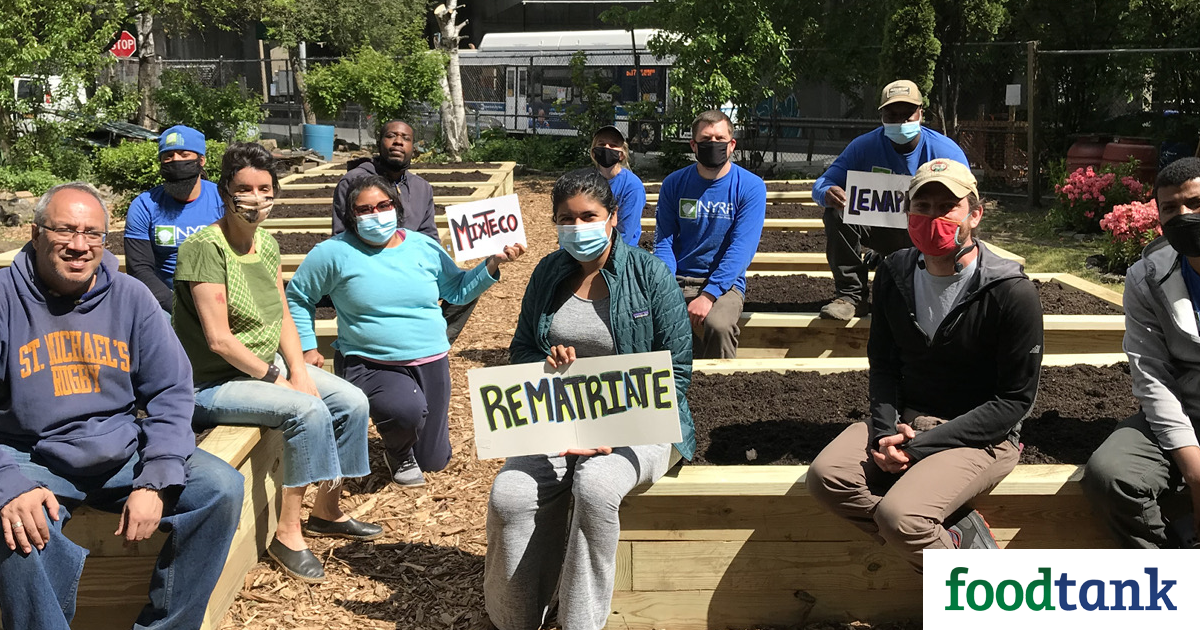 NYC Nonprofit Provides Belongings for Group Gardens To Struggle Meals Apartheid – Meals Tank