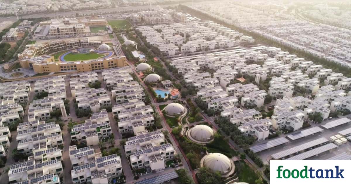 Sustainable Metropolis Sparks Movement in Dubai – Meals Tank