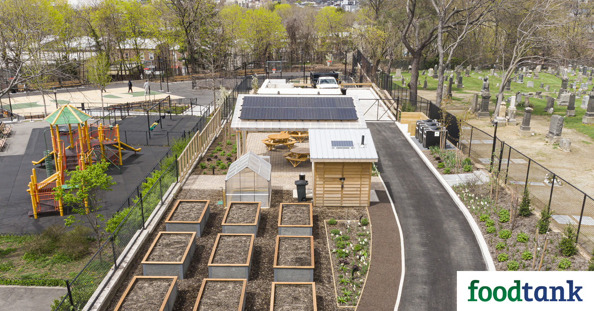 NYC Nonprofit Gives New Life to Brooklyn Neighborhood Yard – Meals Tank