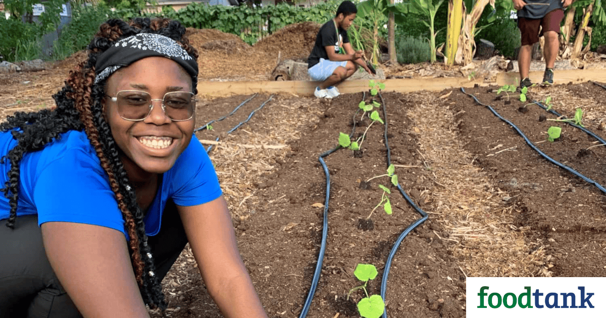 GrowCity Will get Youth Work Ready with Metropolis Gardening – Meals Tank